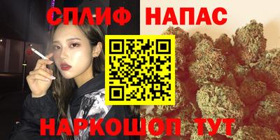 сатива Комсомольск-на-Амуре