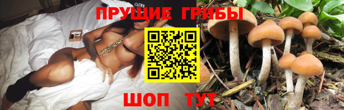 Псилоцибиновые грибы мухоморы  Вход с VPN  Карачаевск 